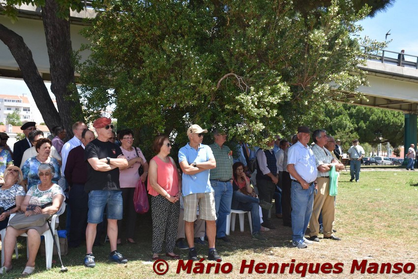 19055625_1489129314473298_8216679458010234641_o