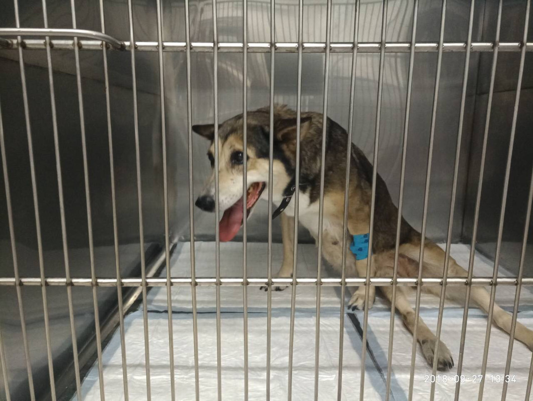 4F61E2C1-B593-4A6D-9033-27764D40402D