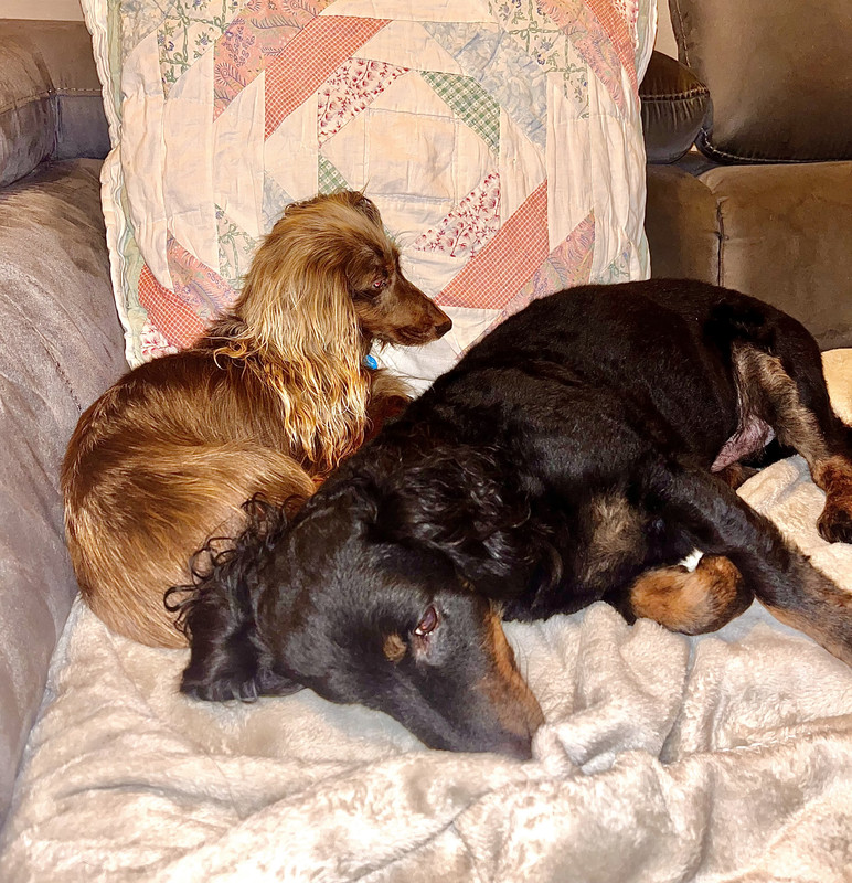 [Image: IMG-1367.jpg]