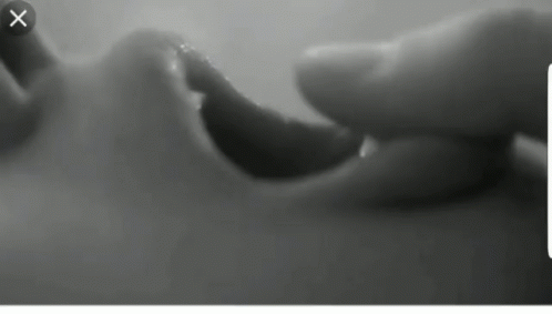 caress-thumb.gif