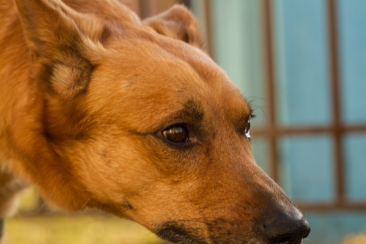 без имени-5309