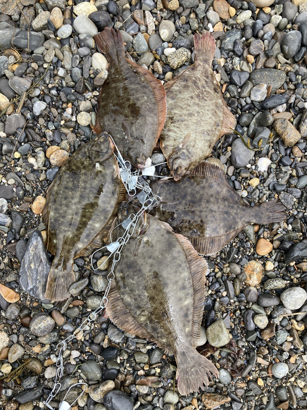 B298F715-9DA0-4739-8E62-050A26D1A163