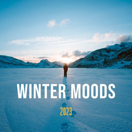 VA - Winter Moods 2023 (2023)