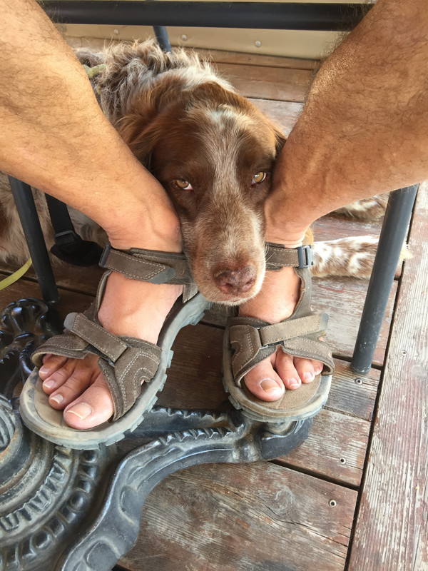 022945DE-B171-4529-B89A-E4610D851019