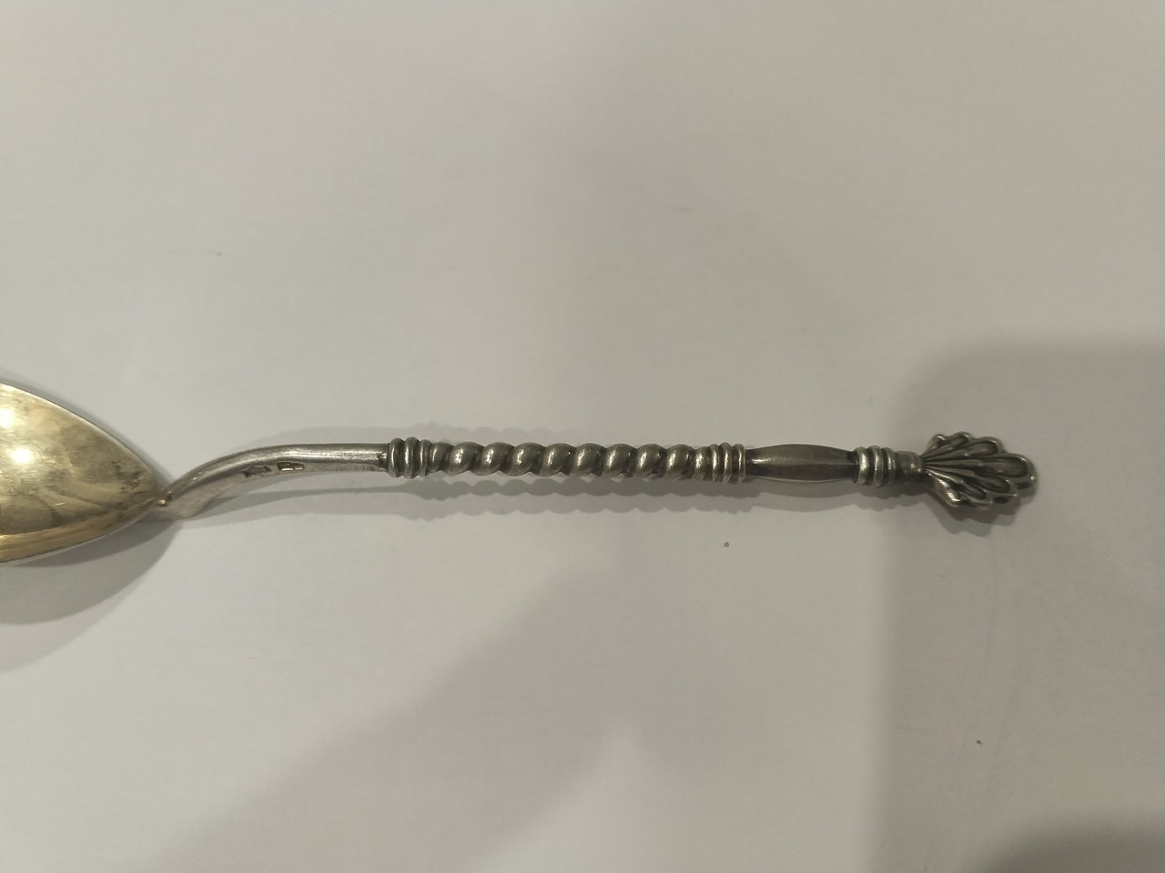 IMG 20251018 173005 574