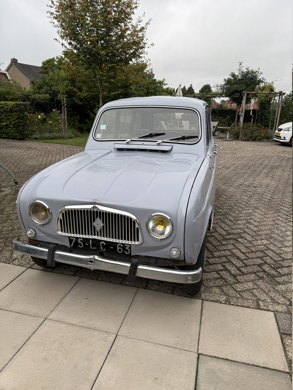 IMG 3076