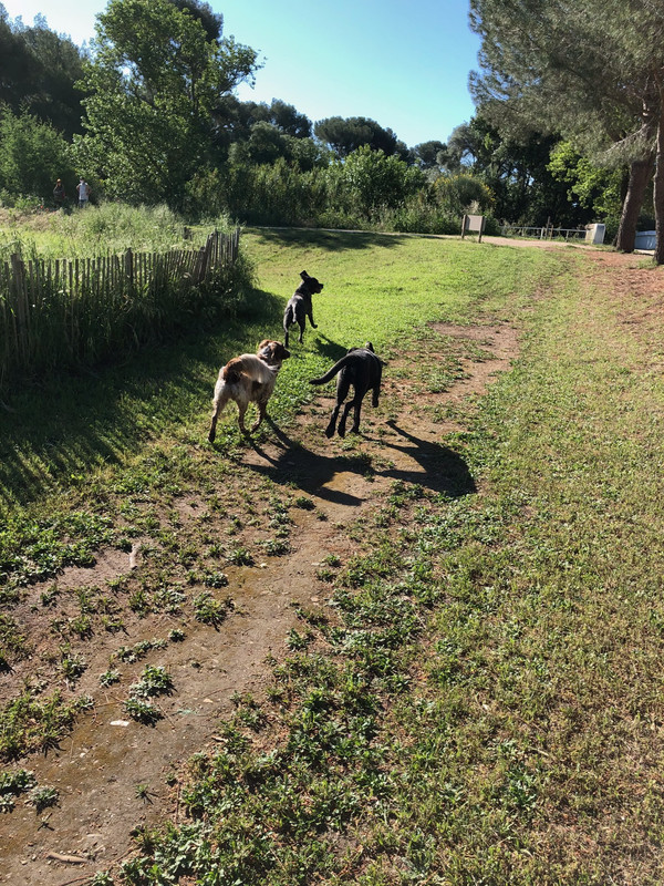 78DD6A7A-6024-4A41-AF27-A55C92C1D9AA