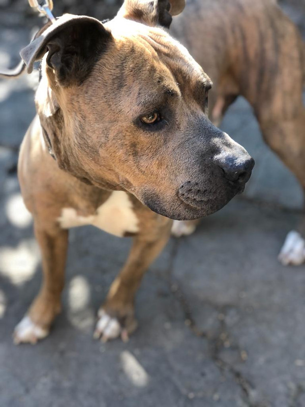 WhatsApp Image 2022-09-10 at 13.13.53 (1)