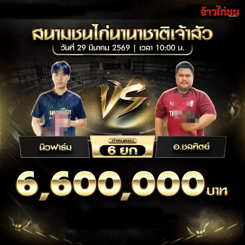 นิวฟาร์ม พบ อ.ชลทิตย์ โปรแกรมไก่ชน สนามชนไก่นานาชาติเจ้าสัว 29 มีนาคม 2569