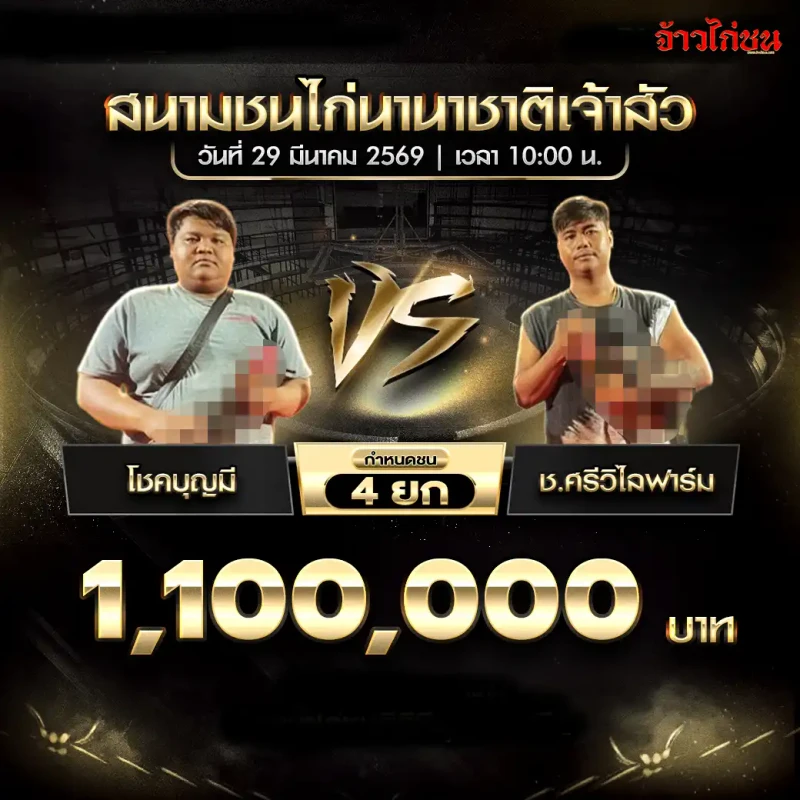 โชคบุญมี พบ ช.ศรีวิไลฟาร์ม โปรแกรมไก่ชน สนามชนไก่นานาชาติเจ้าสัว 29 มีนาคม 2569