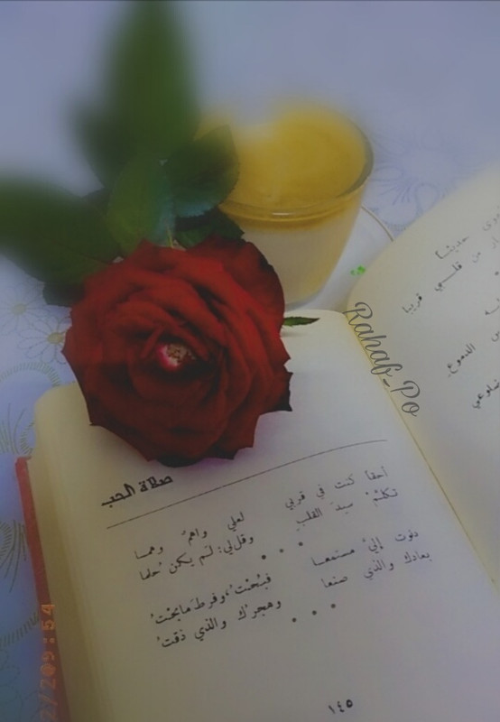 PicsArt_11-13-03.00.25