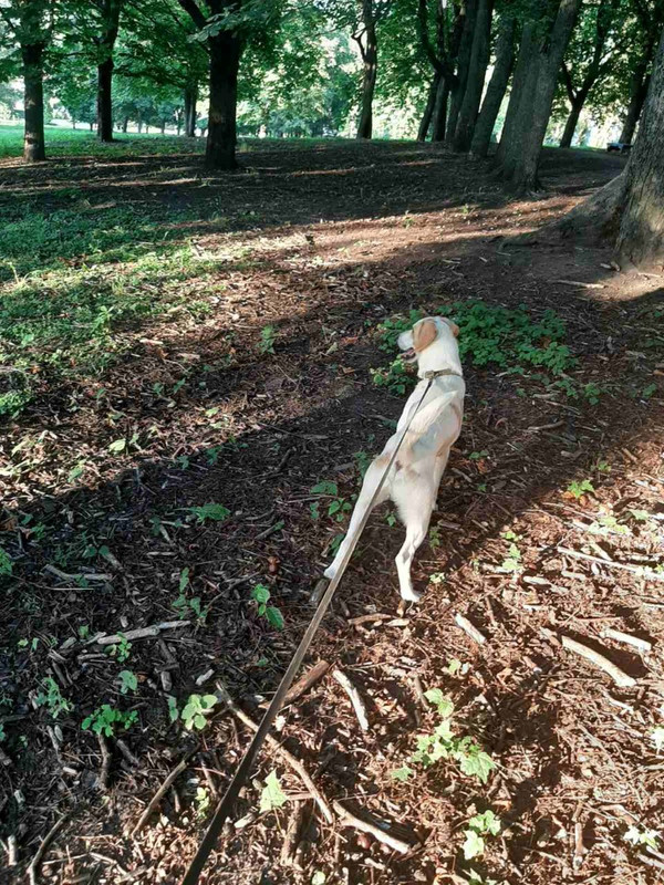 D133C4DE-8007-43DC-93F7-CC9A4FD5AF5F