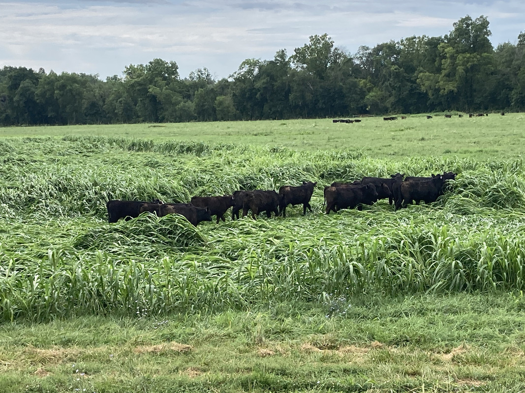 FFCD4C4F-2FAE-47A7-A988-010124996F25