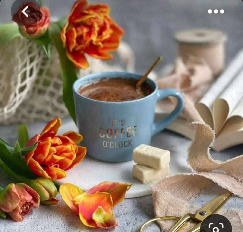 Screenshot_20230528_211157_Pinterest