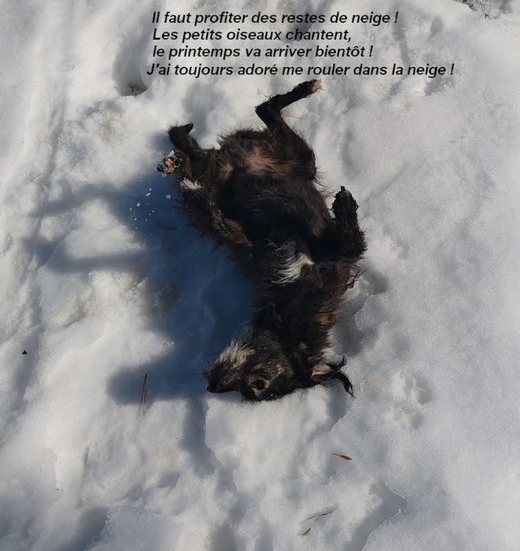 IMG-20260222-114051bb