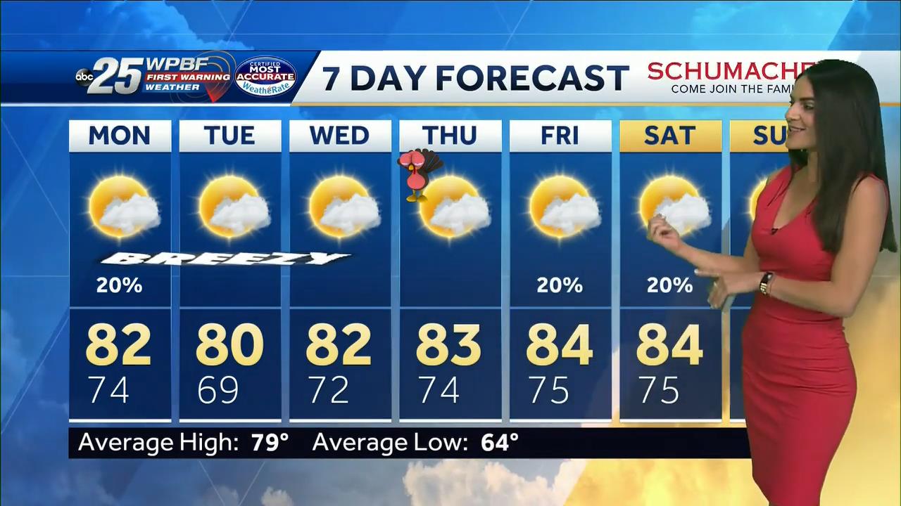 11.22 - 22.00.00 - Wpbf 25 News At 5 00.-1.m4v_snapshot_00.50.01_[2020.11.23_14.35.29]