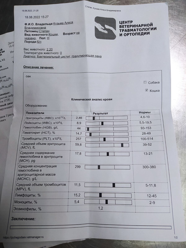 E112CD12-0BAC-48AD-9E64-5C09EBE195DB