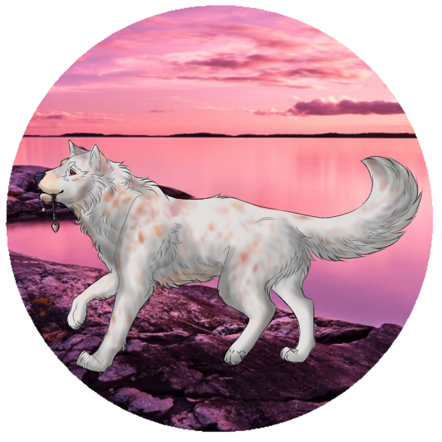 Untitled551 20260209165204