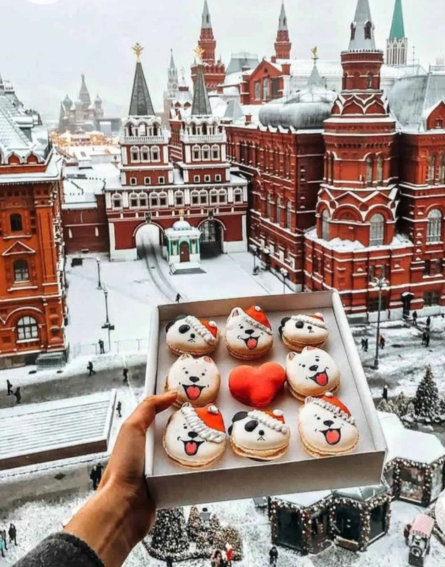 Screenshot_20230217_231619_Chrome