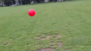 dog-ball-launch