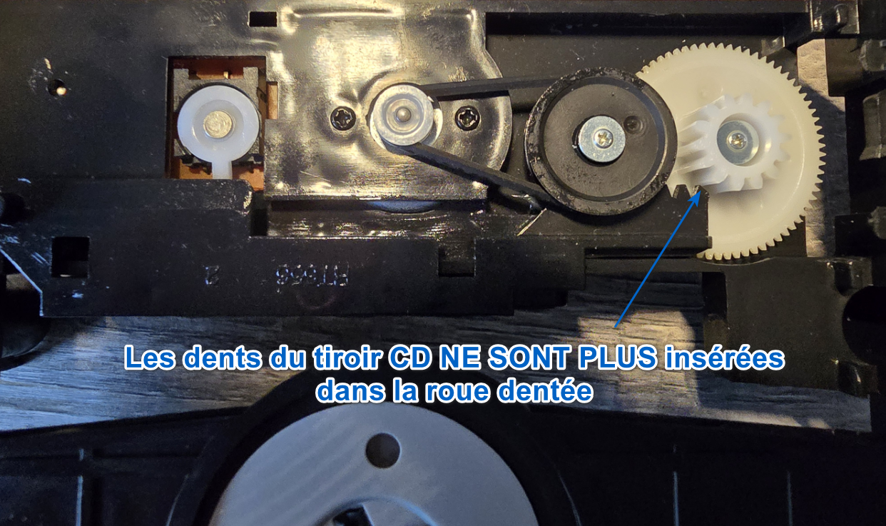 [Image: photo2.png]