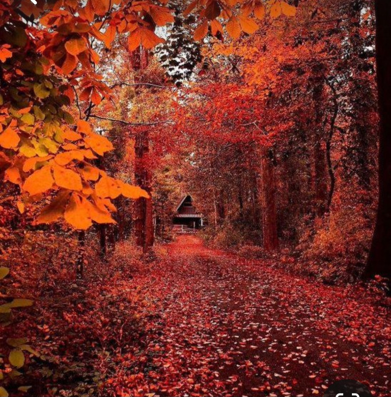 Screenshot_20240131_210430_Pinterest