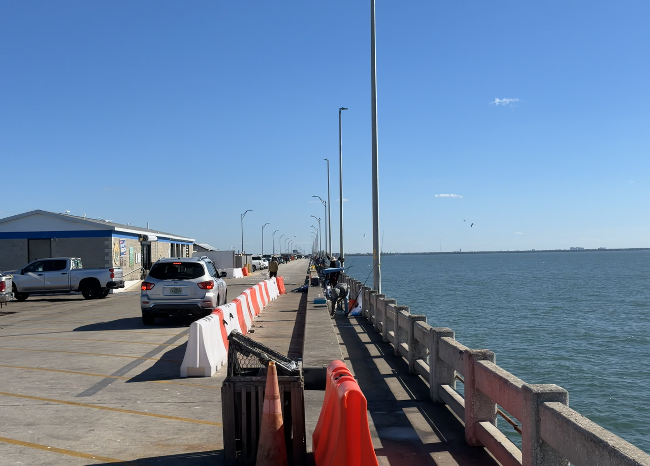 [Image: Skyway-Bridge6.png]