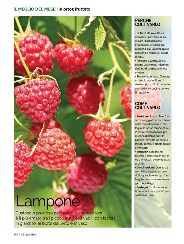 Il Mio Giar Lug-Ago 2021 (5)