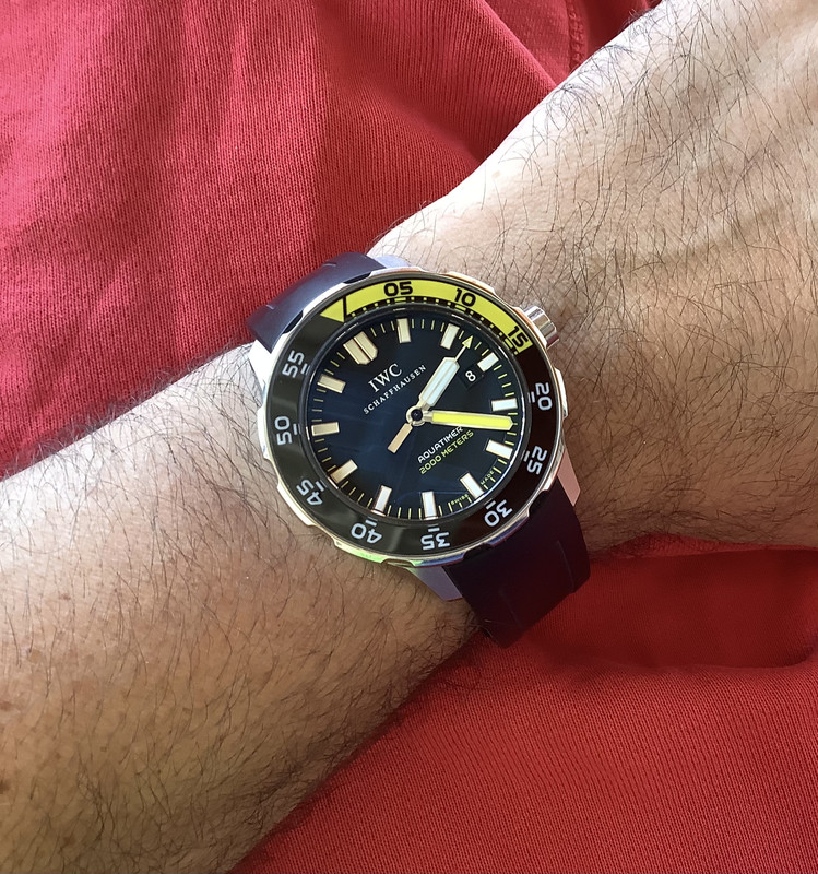 86F84449-797E-4FD7-A9E4-02AC639C5842