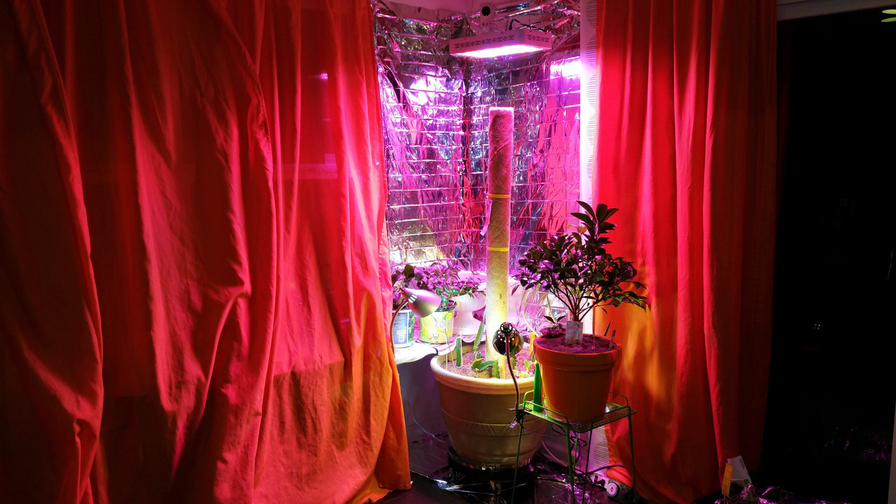 20150415_000340