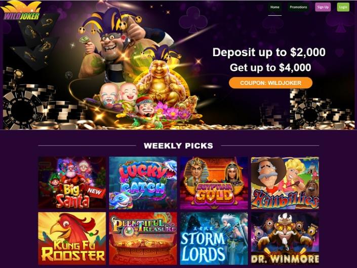 wild joker casino