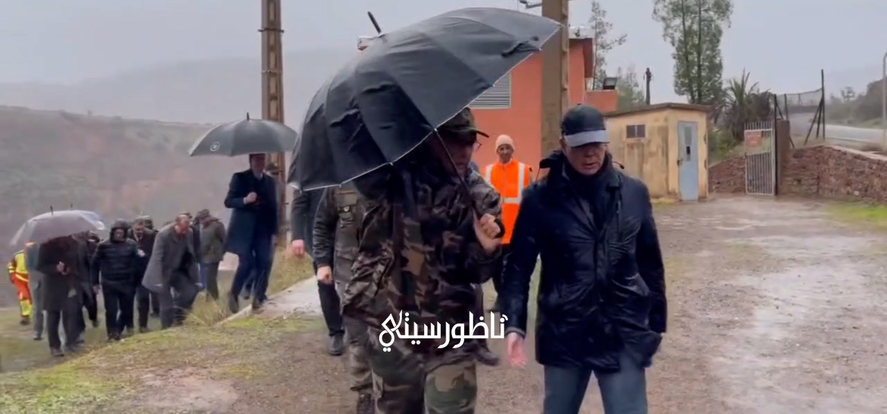 VN20260202-235230-00-00-31-13-Still006