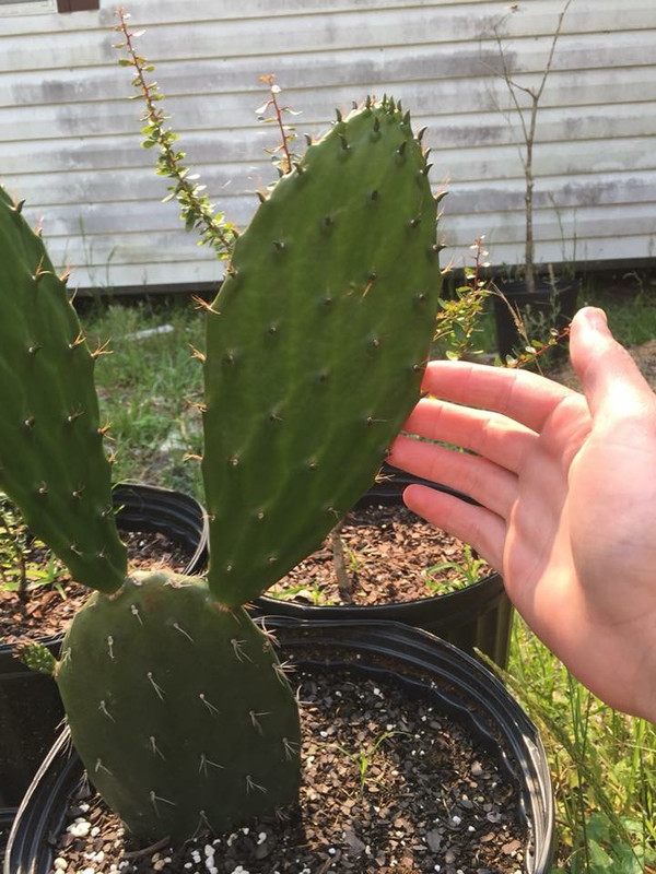 30FEED3D-6448-48BD-AEB3-A5D5437B2FCE