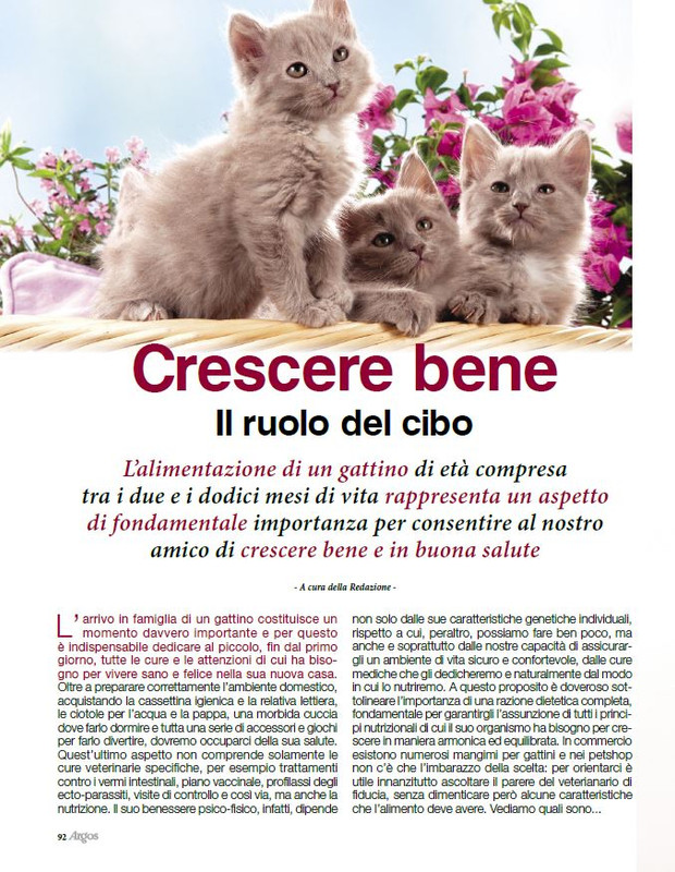 Argos Dic 2022-Gen 2023 (11)