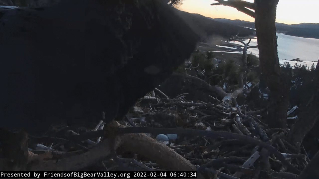 Webp.net-gifmaker (2)