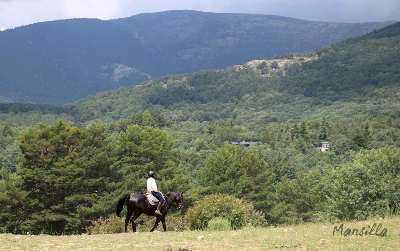 Navacerrada-Cercedilla-06
