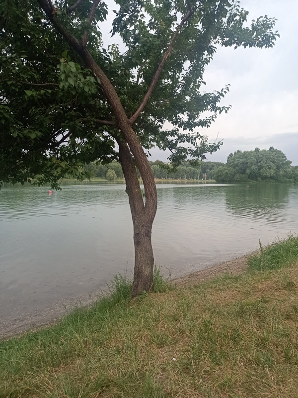 IMG20210704184049.jpg