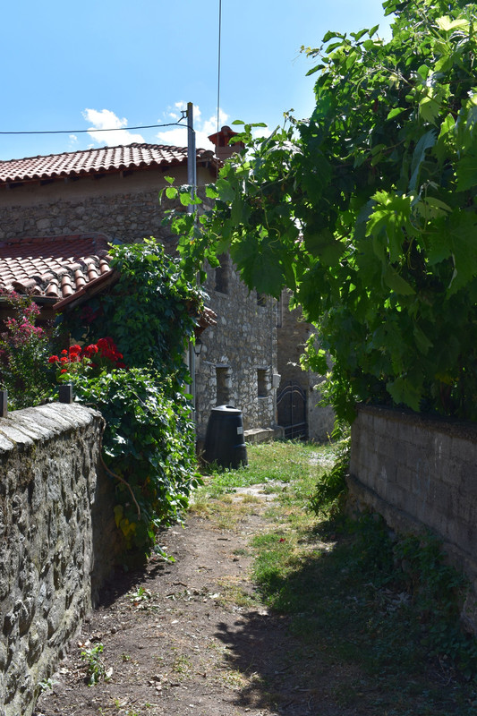 Άγιος Γερμανός (Πρέσπες) (57)