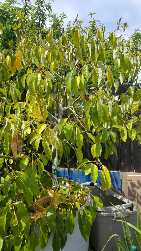 20180505_114814