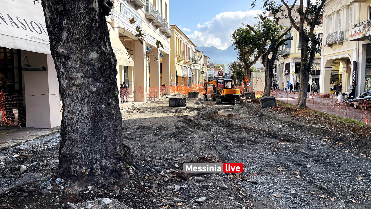 δεντρα 23IMG_8966