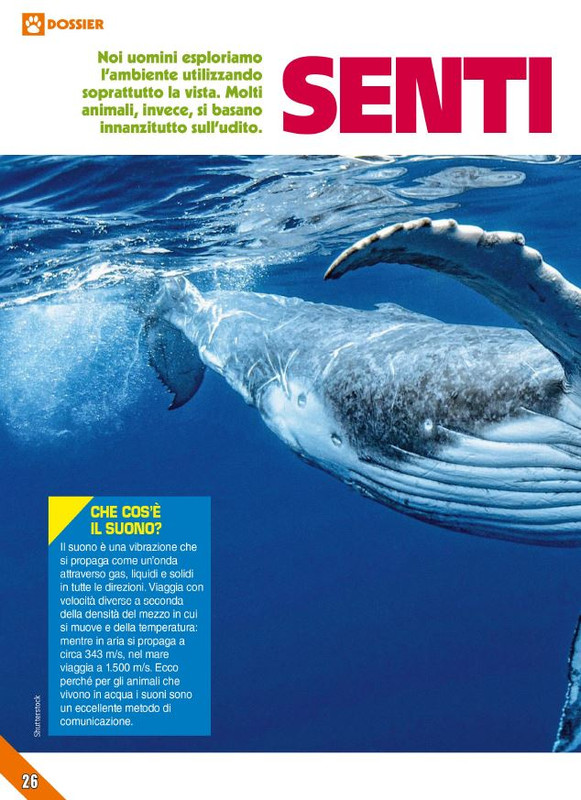 Foc Wil - Lug 2024 (9)