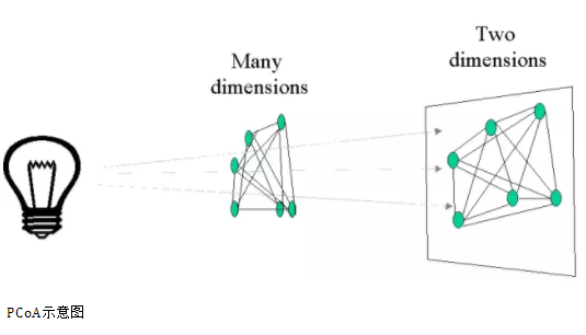 PCA_2