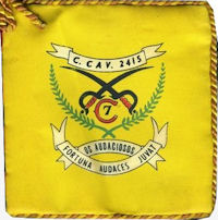 CCav2415