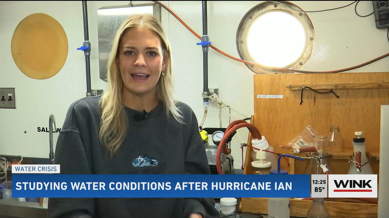 10.24 - 17.00.00 - The WINK Noon News  ᴺᵉʷ. Midday news update..ts_snapshot_31.46.159