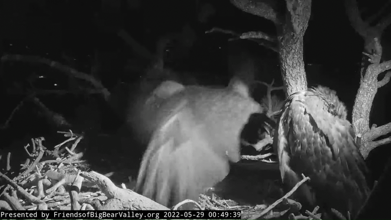 Webp.net-gifmaker (1)