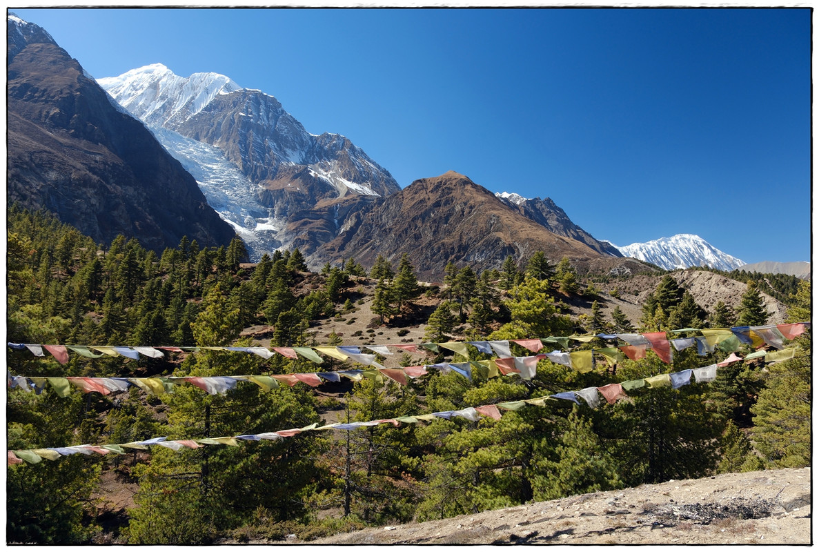 Trekking en Nepal: Annapurna Circuit y Mardi Himal - Blogs de Nepal - AC día 6: Bhraka (3500 m) a Manang (3570 m) (9)