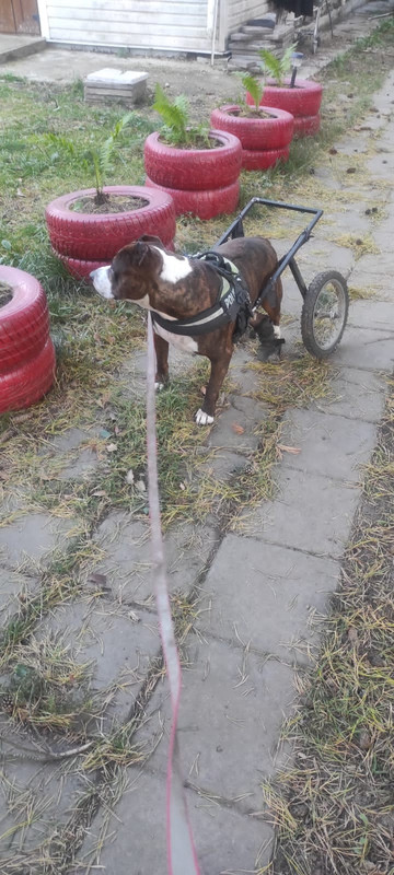 B3EBF517-BE3B-432B-9B23-87276FF1632C