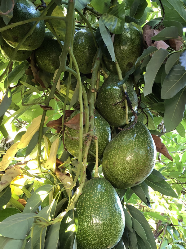 06576619-6F15-4CA3-8E3A-674D3FE7BA55