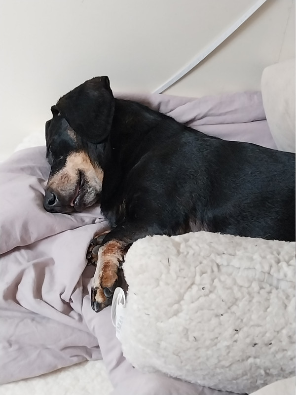 [Image: 20250604-093745.jpg]