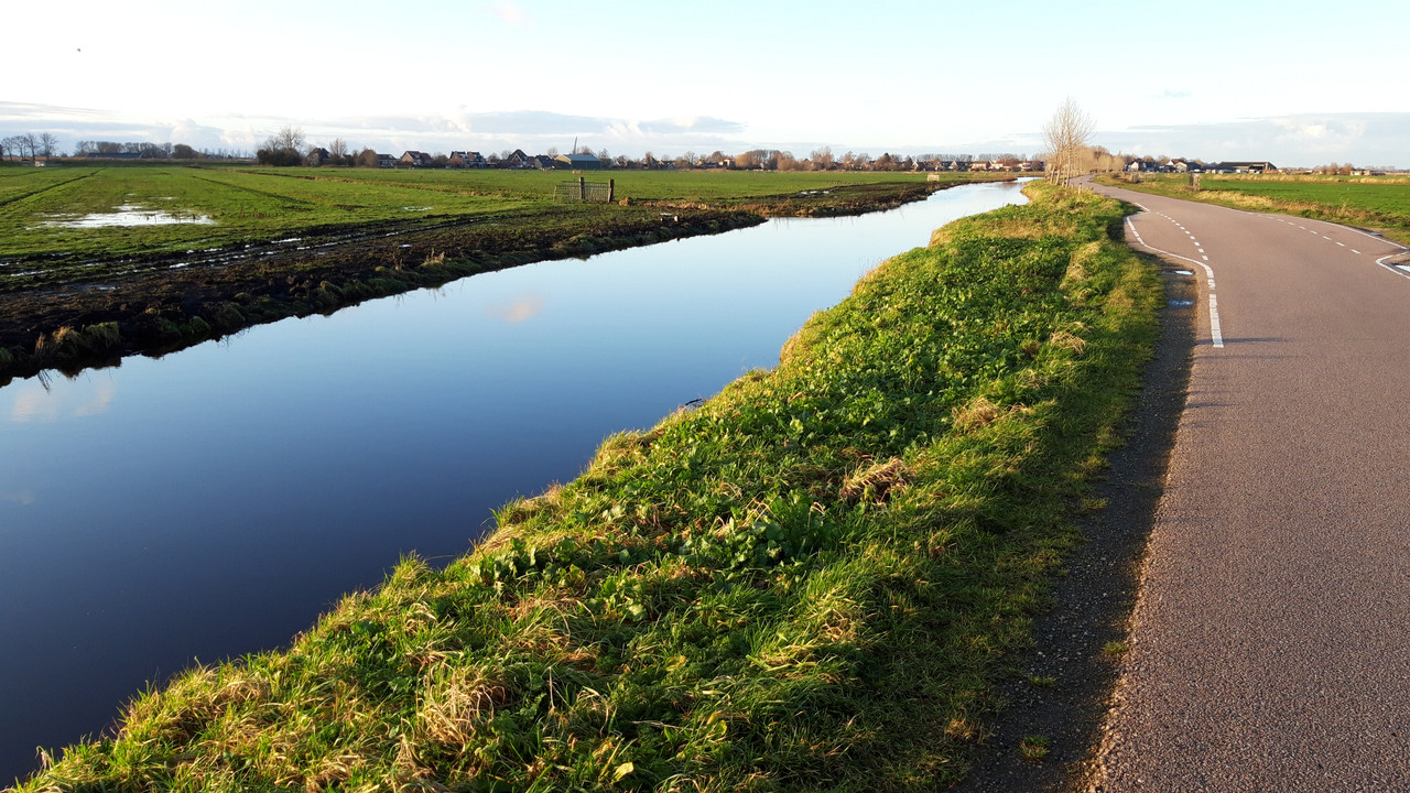 Dutch Countryside_09